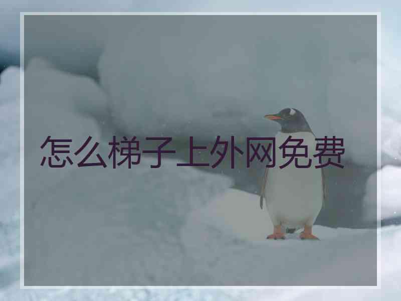 怎么梯子上外网免费