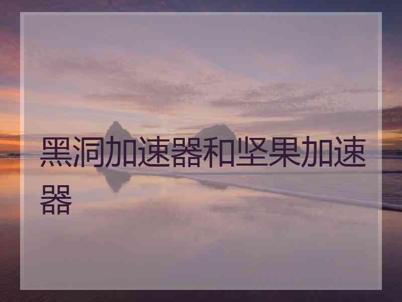 黑洞加速器和坚果加速器
