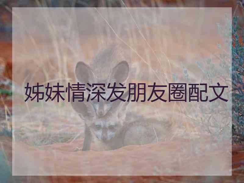 姊妹情深发朋友圈配文