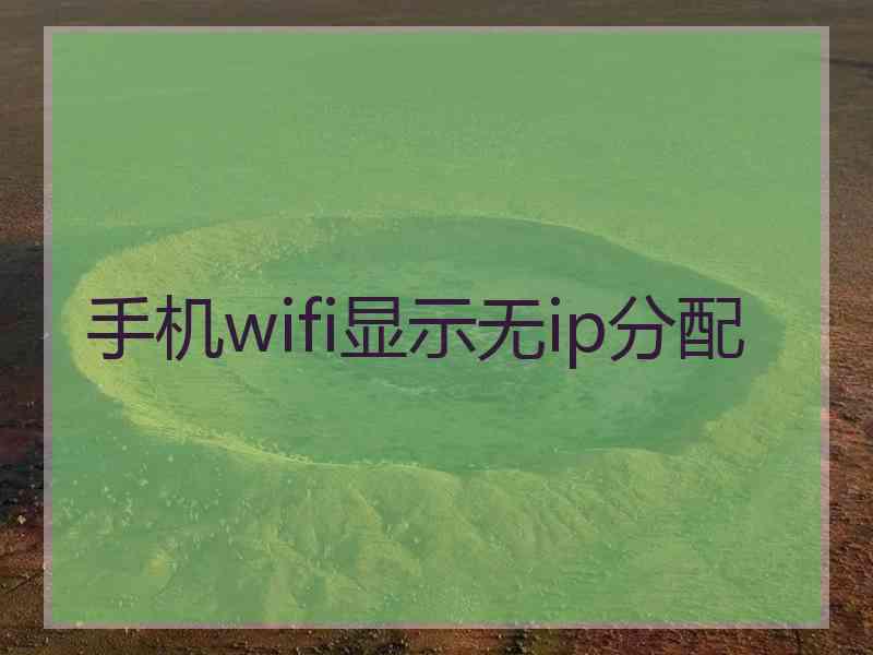 手机wifi显示无ip分配