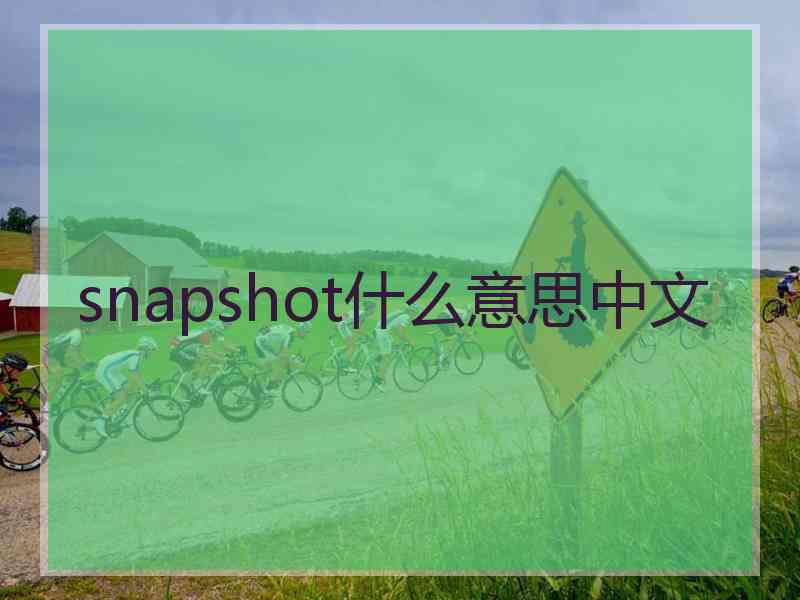 snapshot什么意思中文