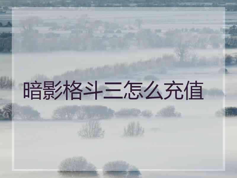 暗影格斗三怎么充值