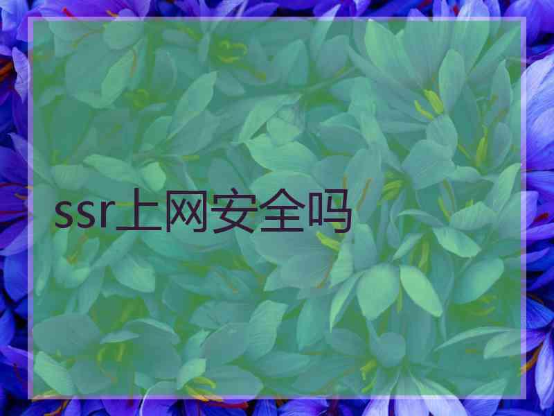ssr上网安全吗