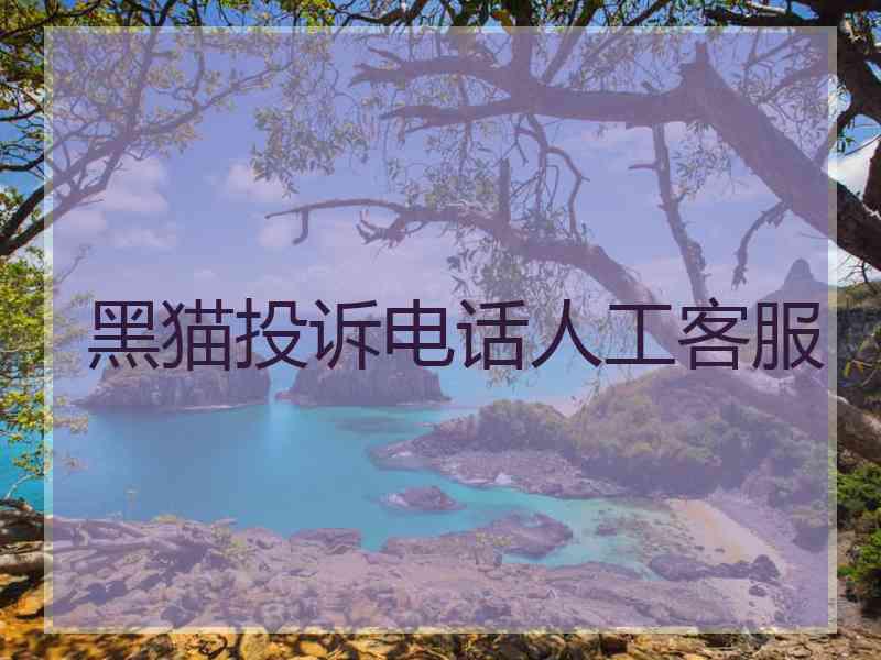 黑猫投诉电话人工客服