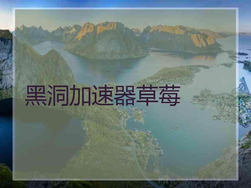 黑洞加速器草莓