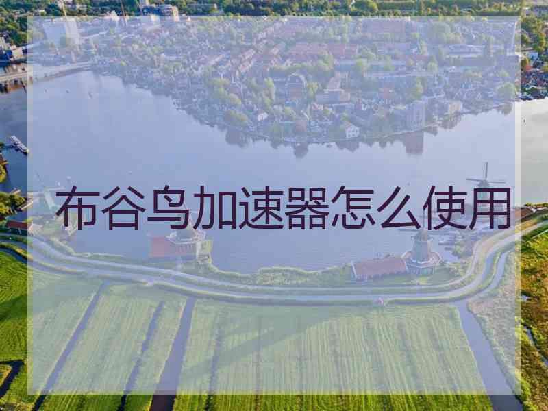 布谷鸟加速器怎么使用