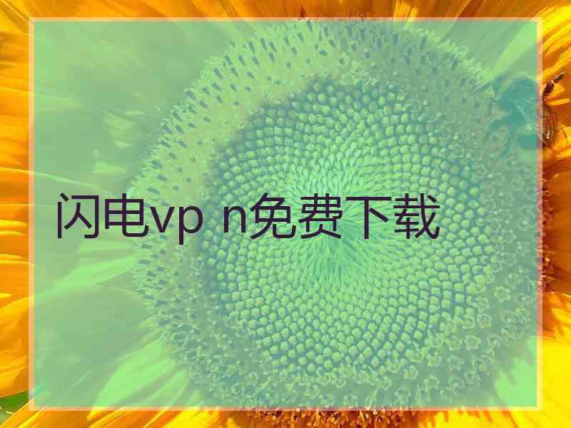 闪电vp n免费下载