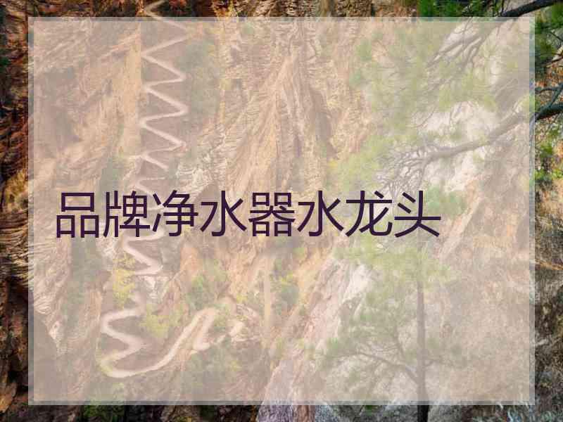 品牌净水器水龙头