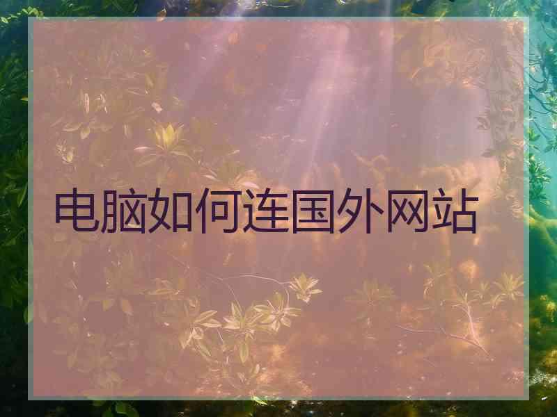电脑如何连国外网站