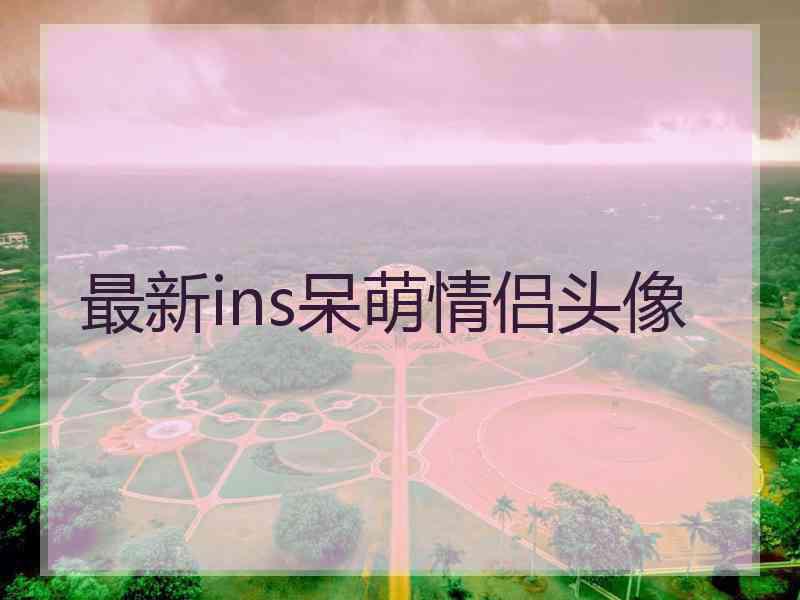 最新ins呆萌情侣头像