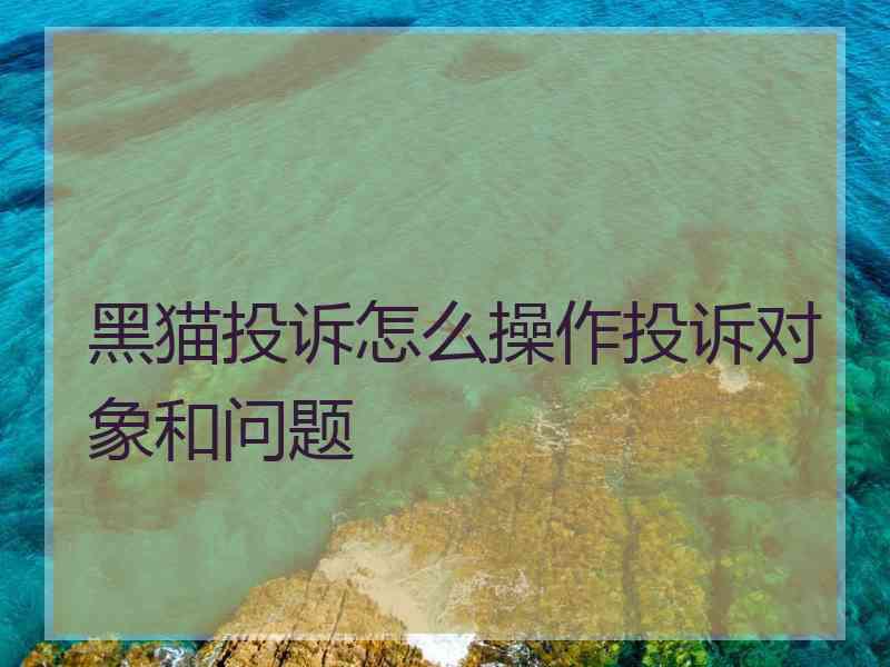 黑猫投诉怎么操作投诉对象和问题