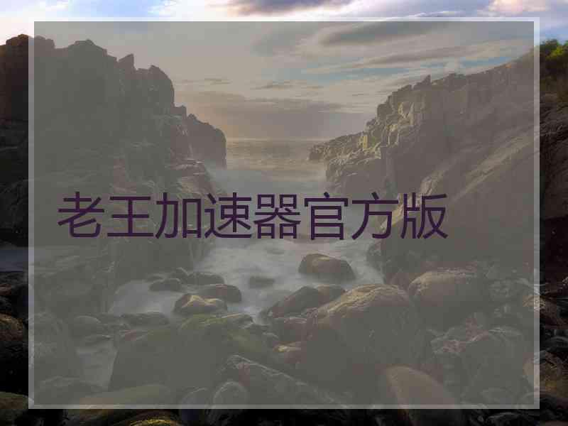 老王加速器官方版