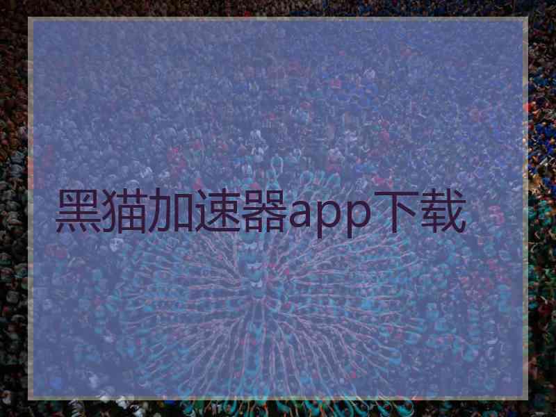 黑猫加速器app下载