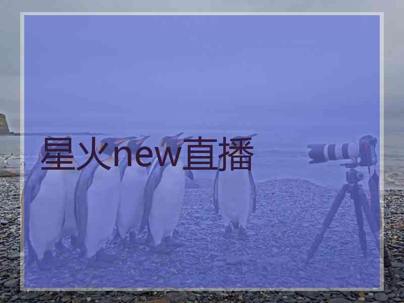 星火new直播
