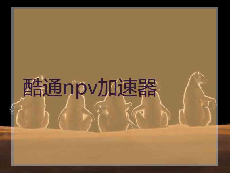 酷通npv加速器