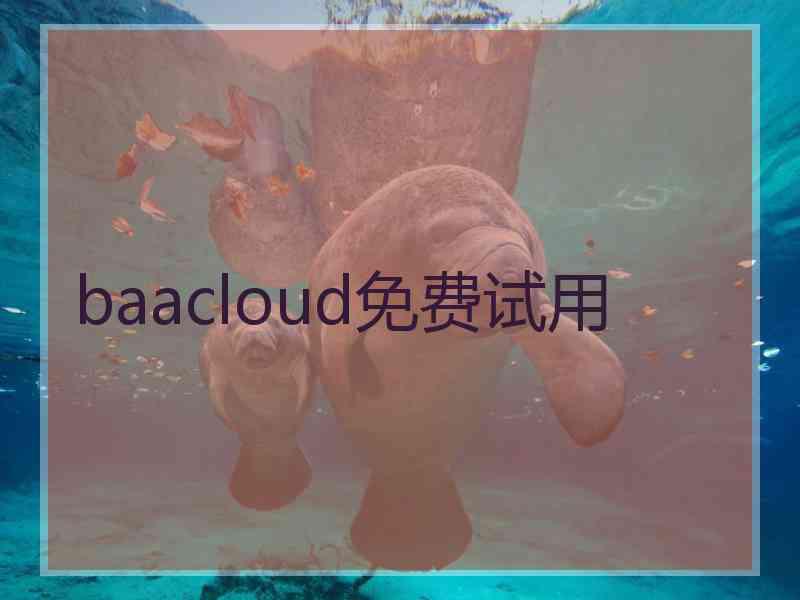 baacloud免费试用