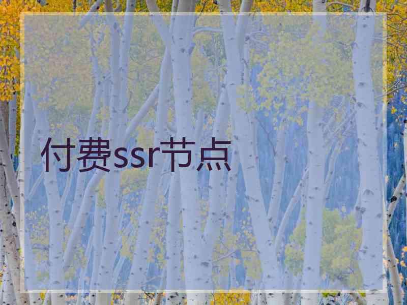 付费ssr节点
