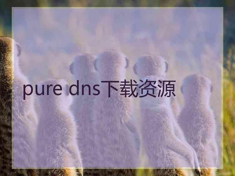 pure dns下载资源
