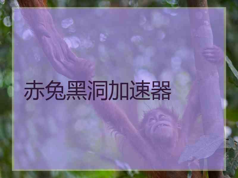 赤兔黑洞加速器