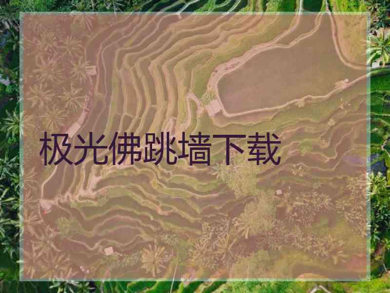 极光佛跳墙下载
