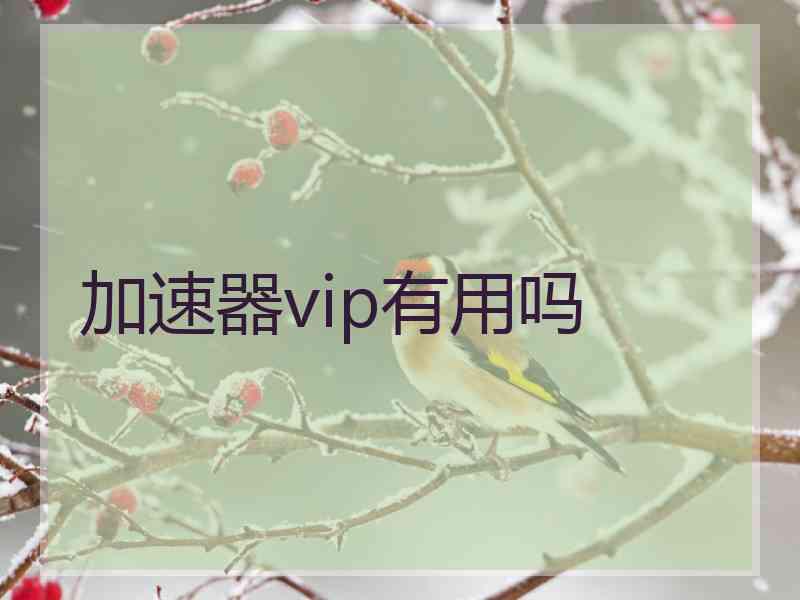 加速器vip有用吗