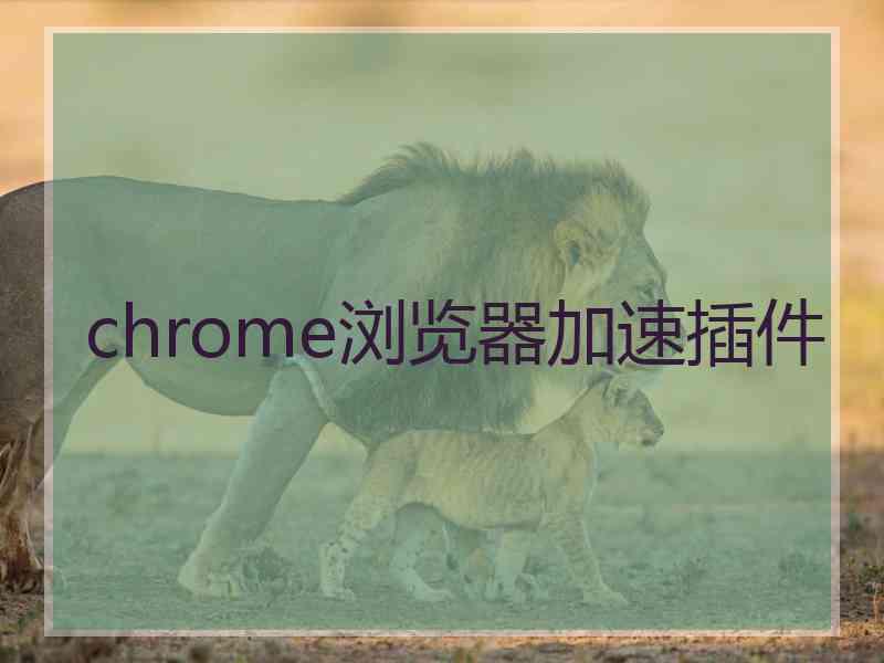 chrome浏览器加速插件