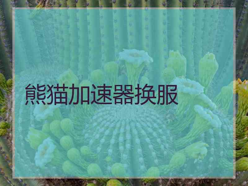 熊猫加速器换服