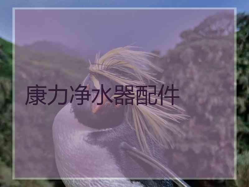 康力净水器配件