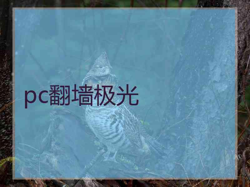 pc翻墙极光