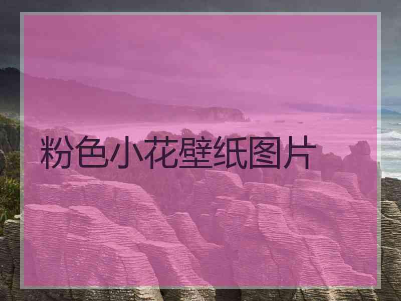 粉色小花壁纸图片