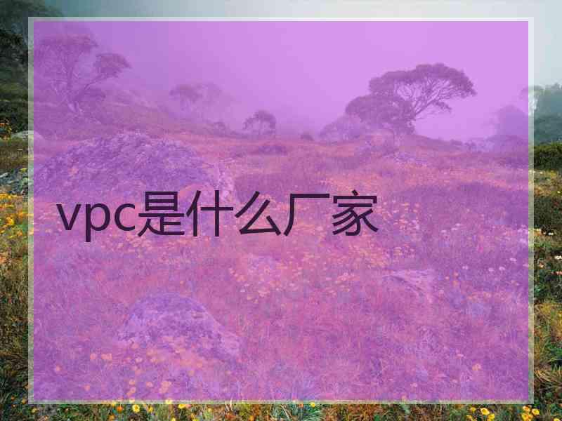 vpc是什么厂家