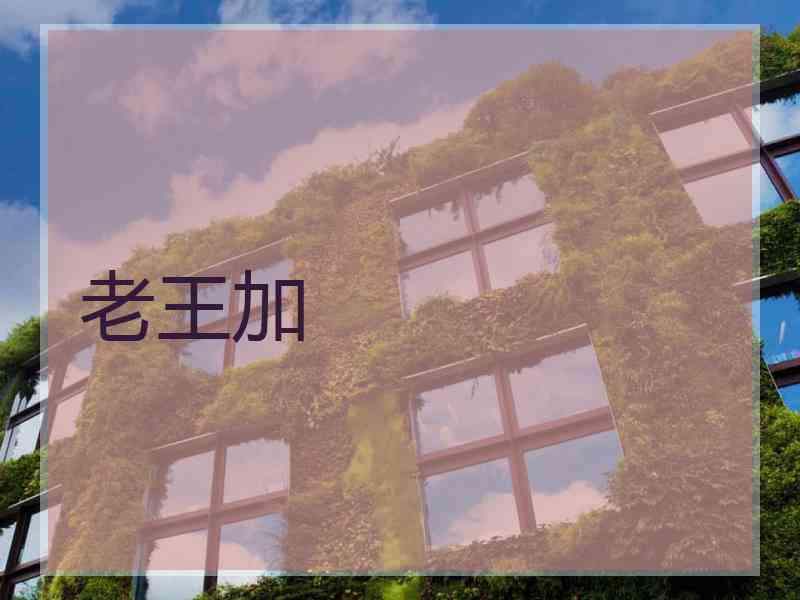 老王加