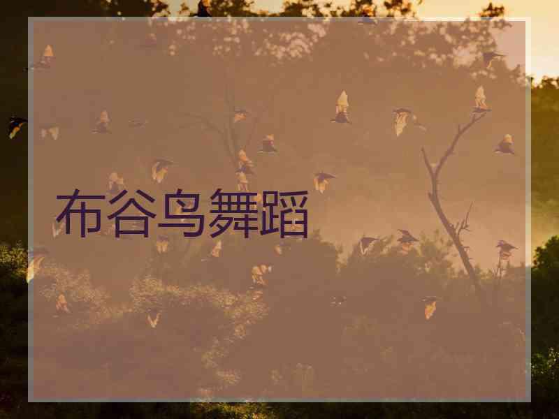 布谷鸟舞蹈
