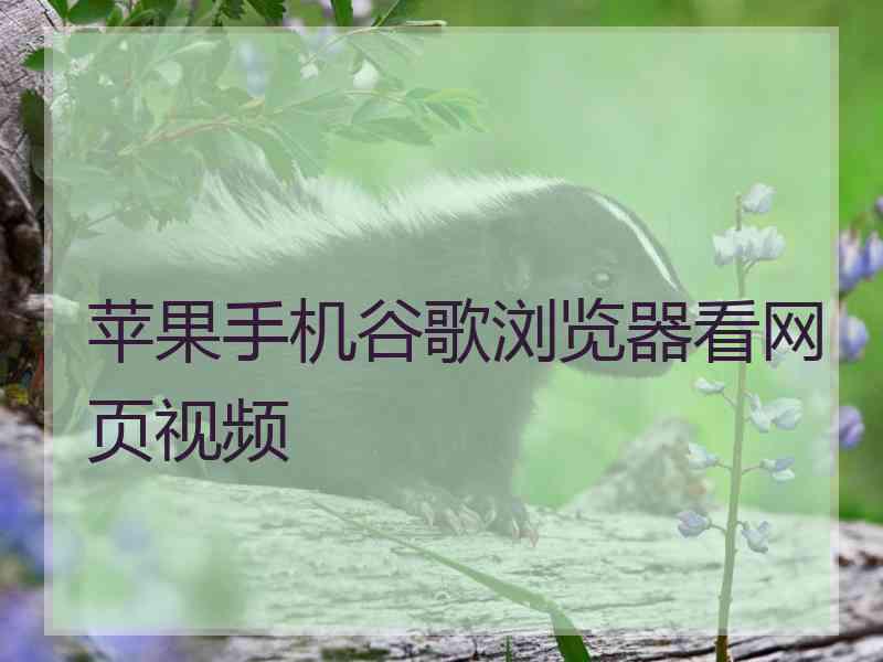 苹果手机谷歌浏览器看网页视频