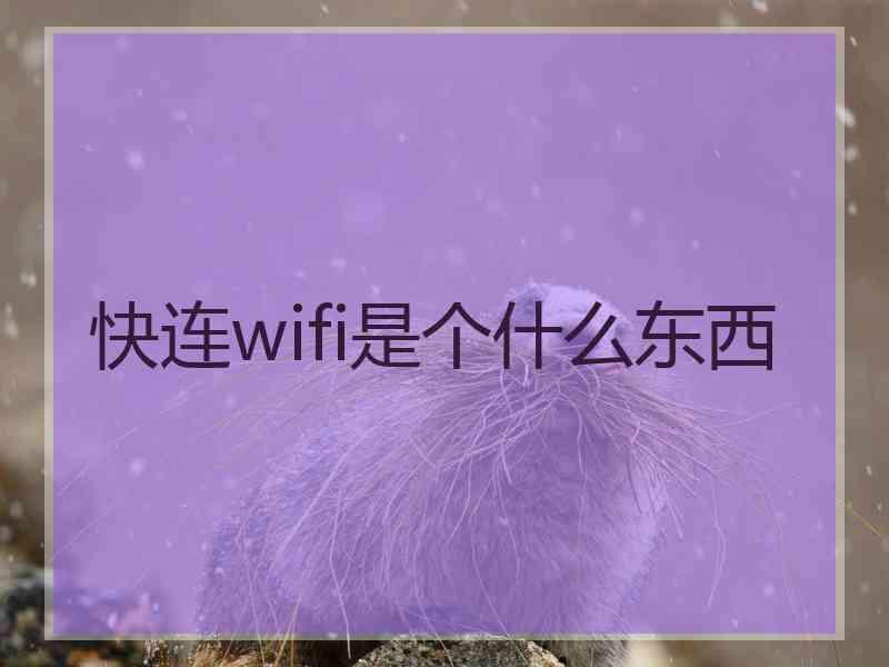 快连wifi是个什么东西