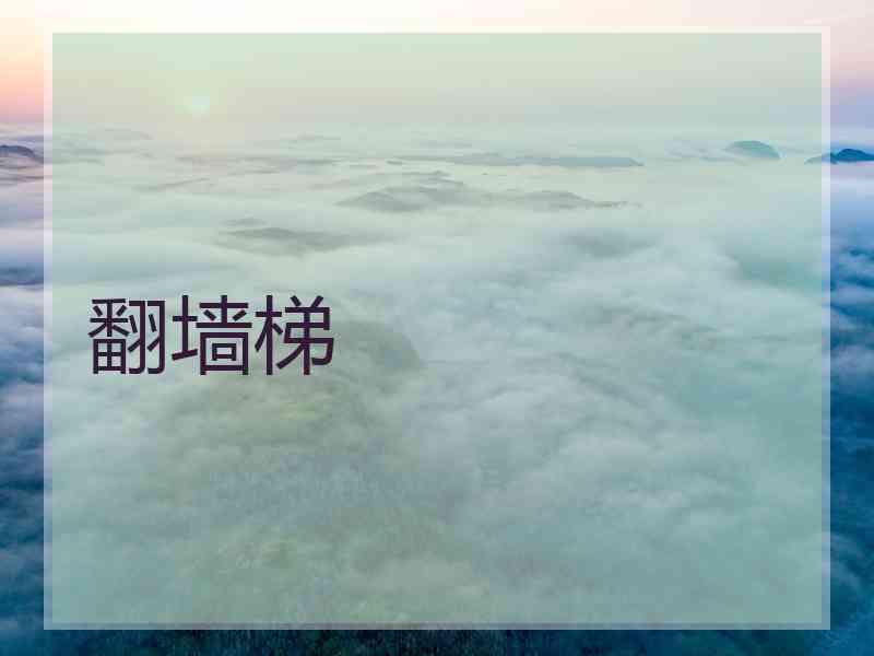 翻墙梯