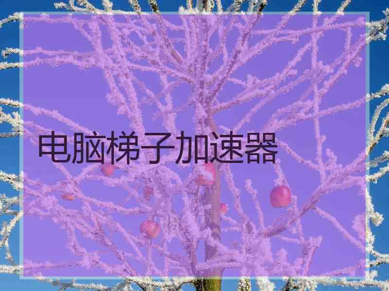 电脑梯子加速器