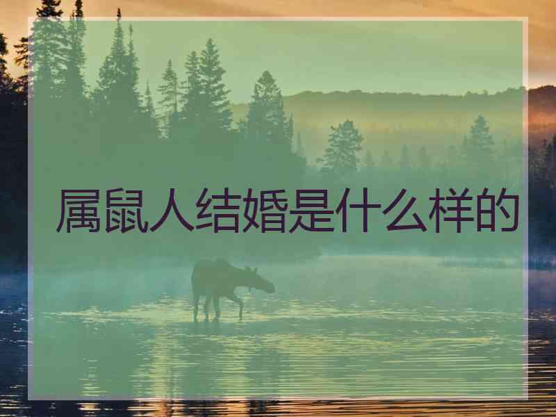 属鼠人结婚是什么样的