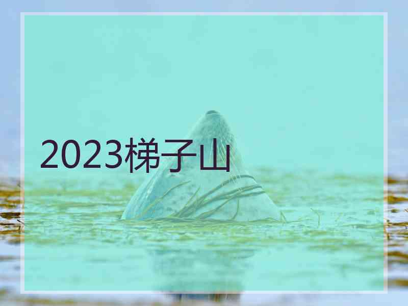 2023梯子山