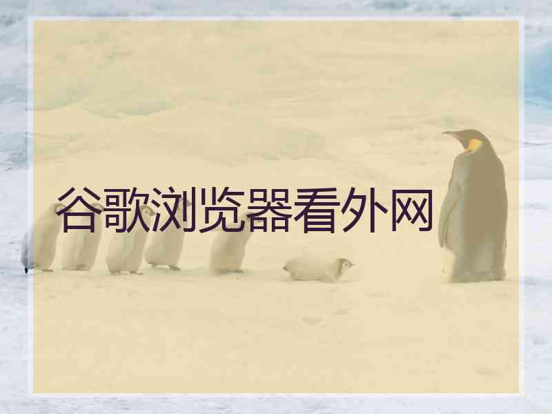 谷歌浏览器看外网