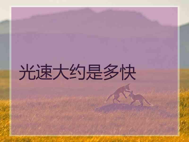 光速大约是多快