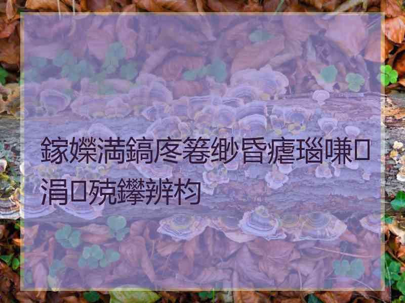 鎵嬫満鎬庝箞缈昏瘧瑙嗛涓殑鑻辨枃