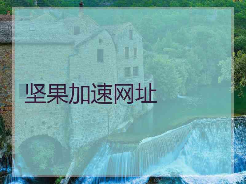 坚果加速网址