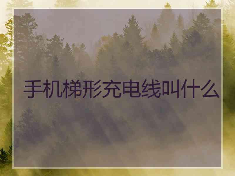 手机梯形充电线叫什么