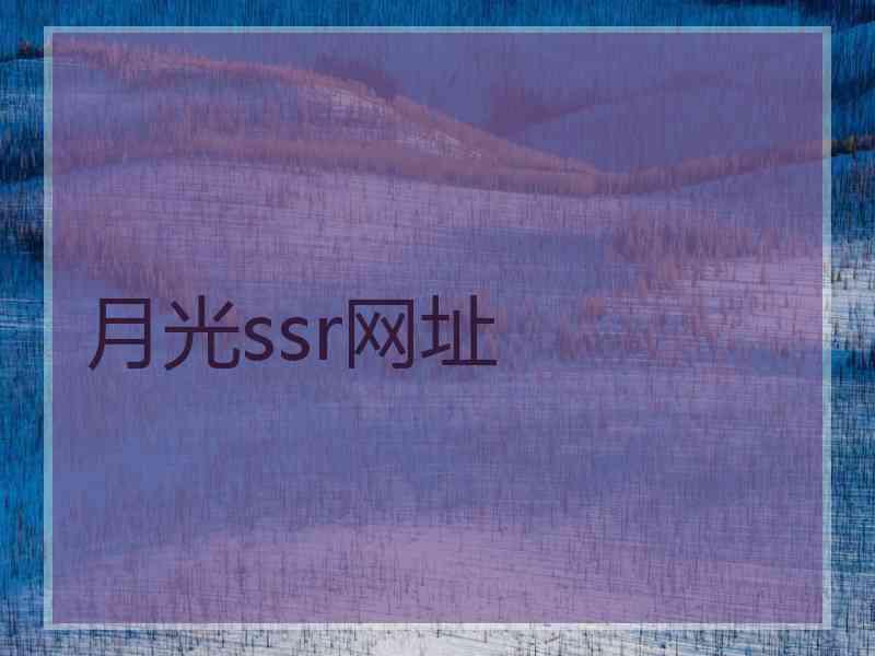 月光ssr网址