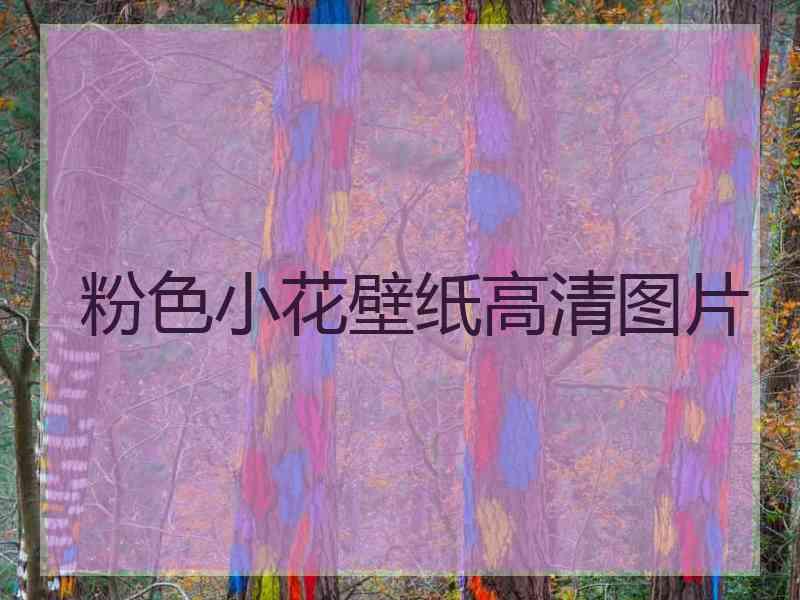 粉色小花壁纸高清图片
