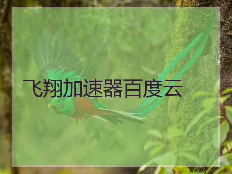 飞翔加速器百度云