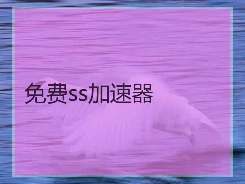 免费ss加速器