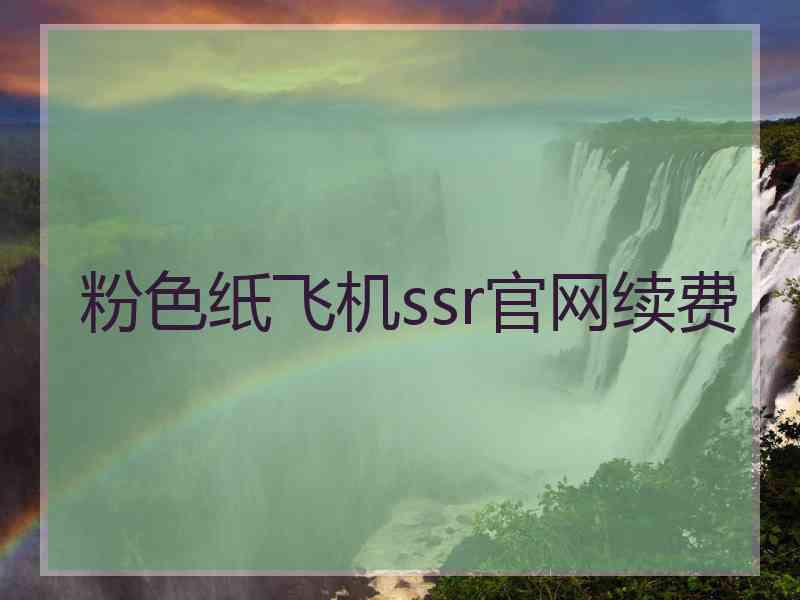 粉色纸飞机ssr官网续费