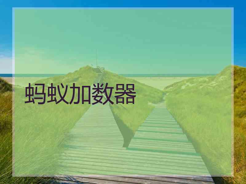 蚂蚁加数器